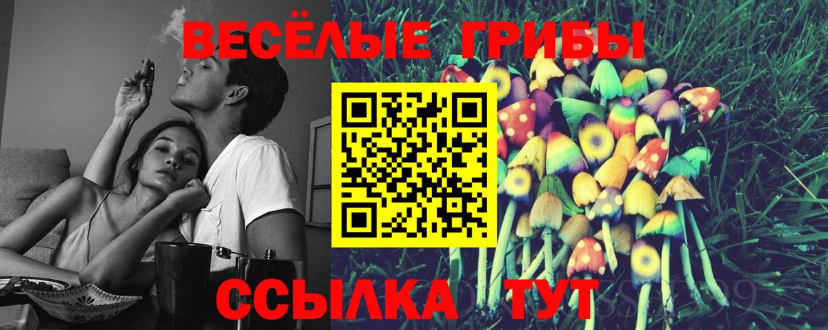 Саянск  Псилоцибиновые грибы Psilocybine cubensis  Вход с VPN  Галлюциногенные грибы Psilocybine cubensis 